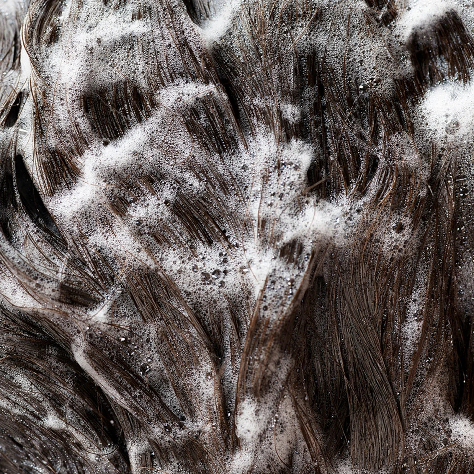 Signature Shampoo - Image 11