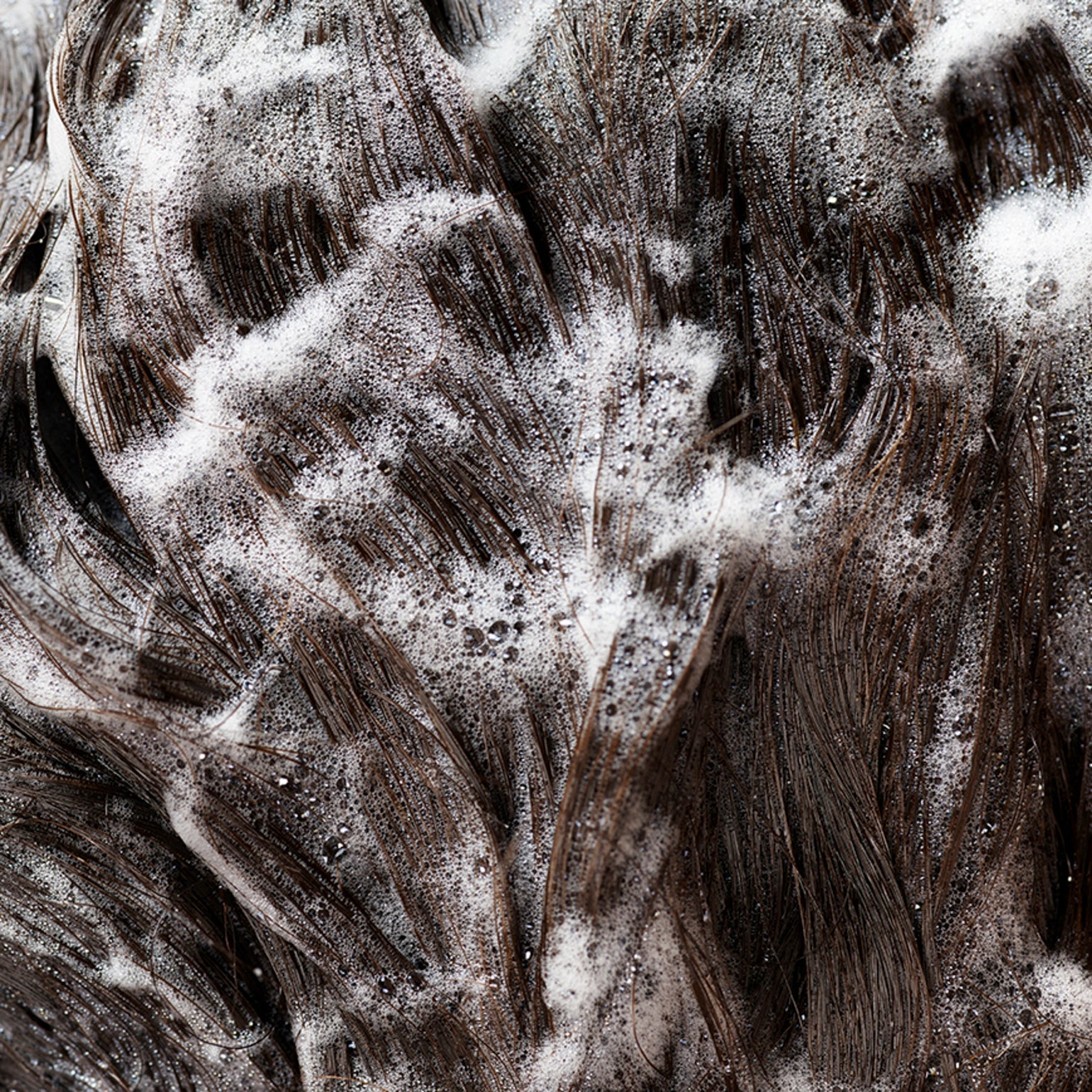 Signature Shampoo - Image 8